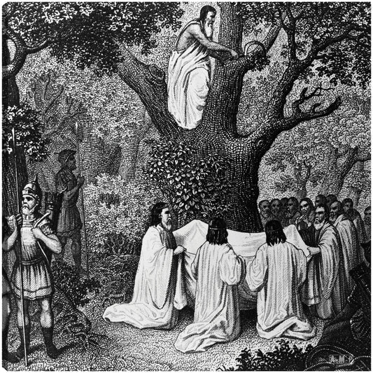 Monjes del bosque druida - Vintage Images