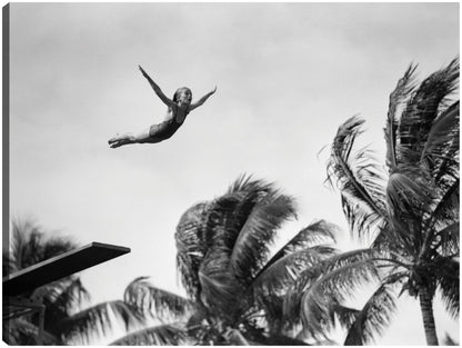 Cool Palm Tree Diver - Vintage Images