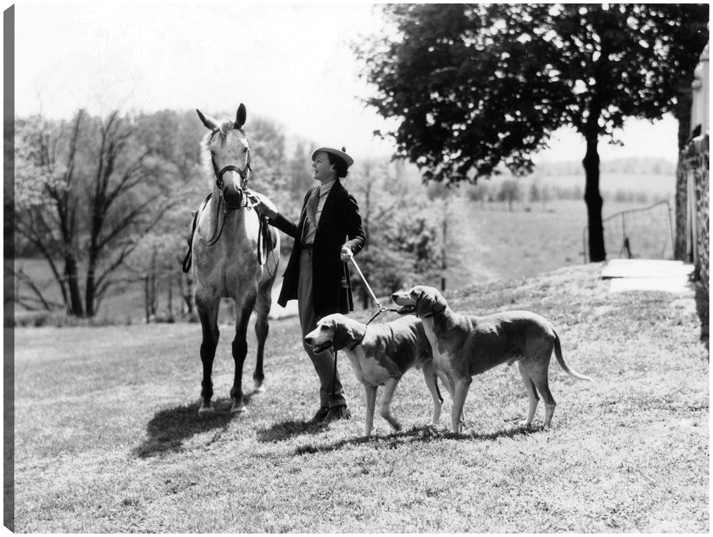 Caballos y Sabuesos Vintage - Vintage Images
