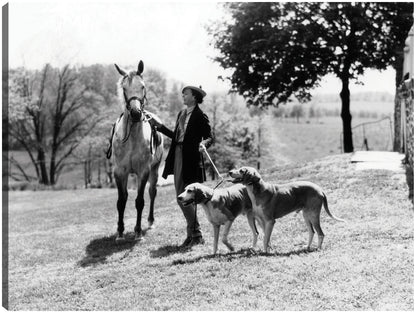 Caballos y Sabuesos Vintage - Vintage Images