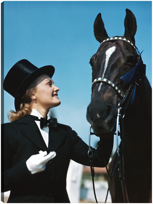 Cinta Azul Ecuestre - Vintage Images