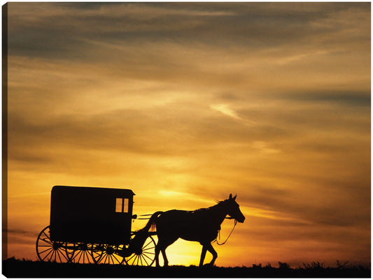 Atardecer en el país Amish - Vintage Images