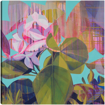 Begonia - Manty Dey