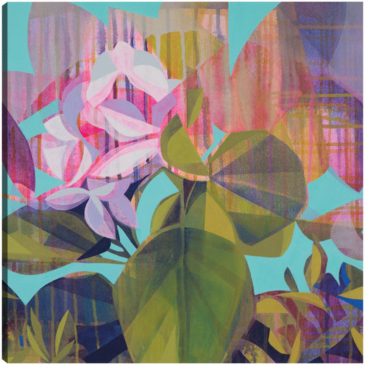 Begonia - Manty Dey