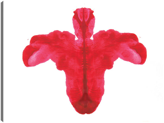 Prueba de rorschach - DP Gallery