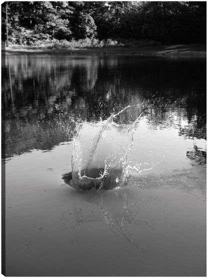 Lago de guijarros - Vintage Images
