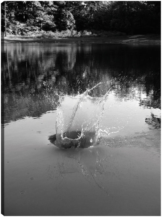 Lago de guijarros - Vintage Images