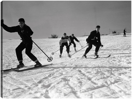 Grupo de esquí alpino - Vintage Images
