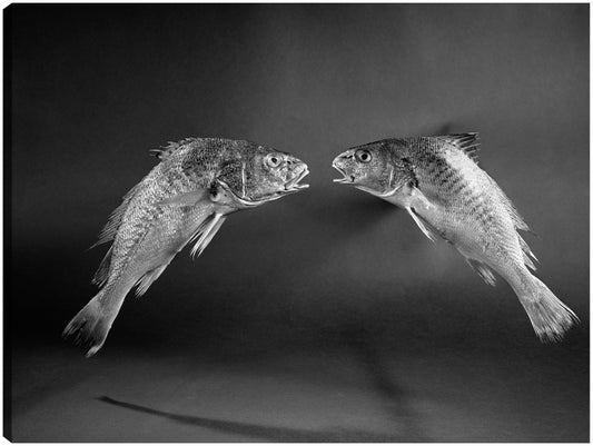 Dos peces que hablan - Vintage Images
