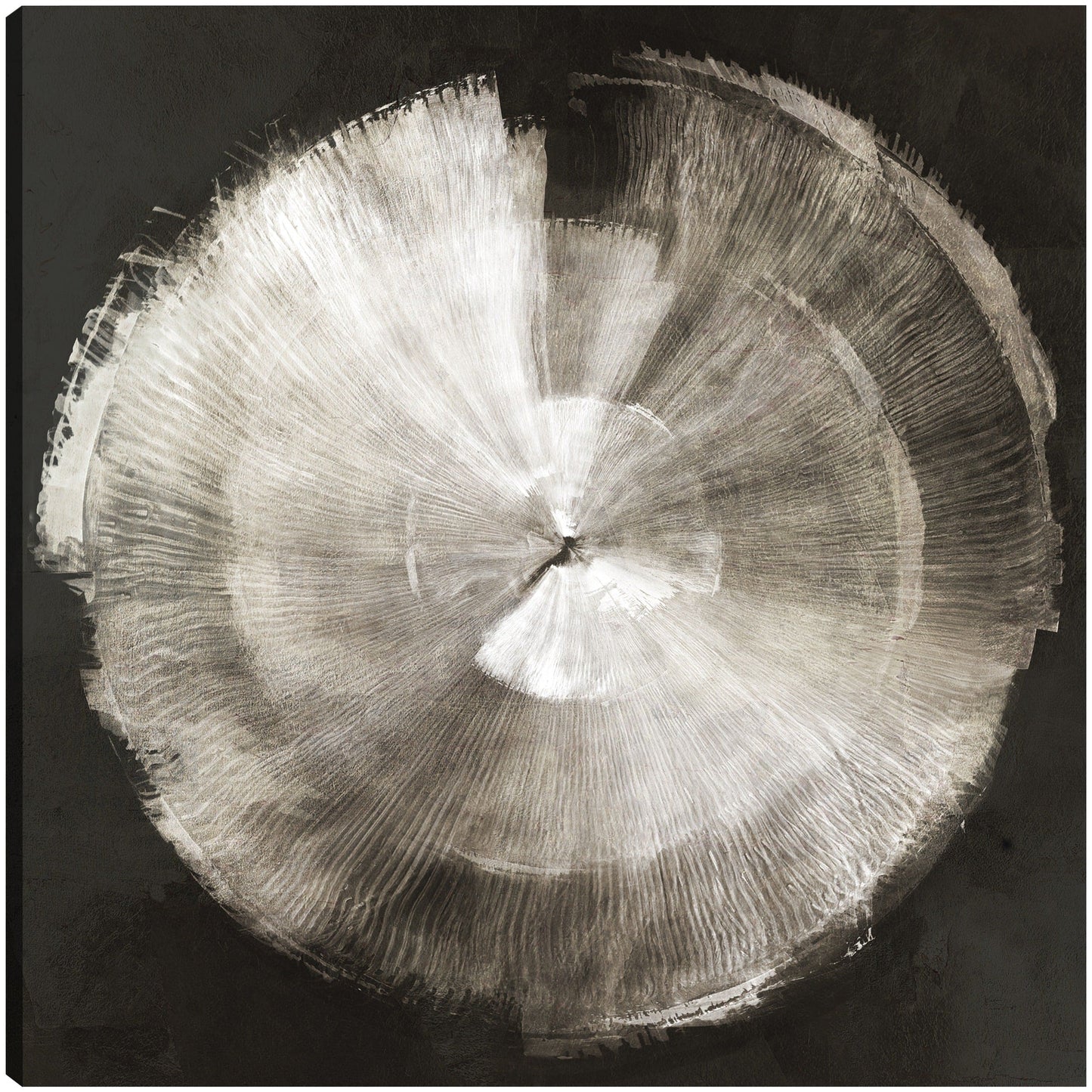 Toque de plata - PI Studio