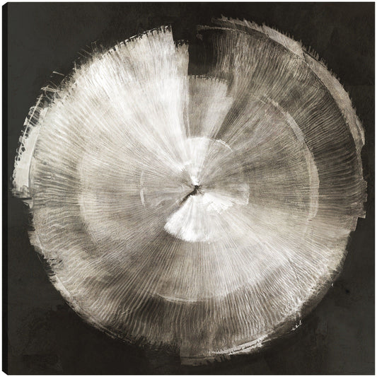 Toque de plata - PI Studio