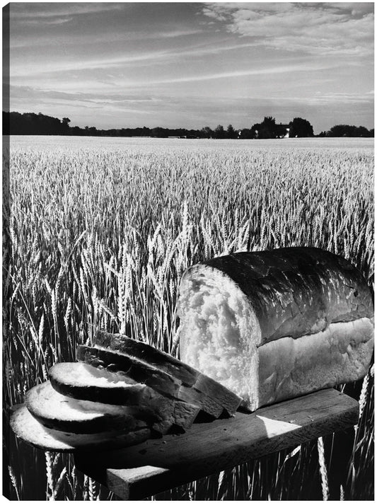 Pan de Cosecha - Vintage Images