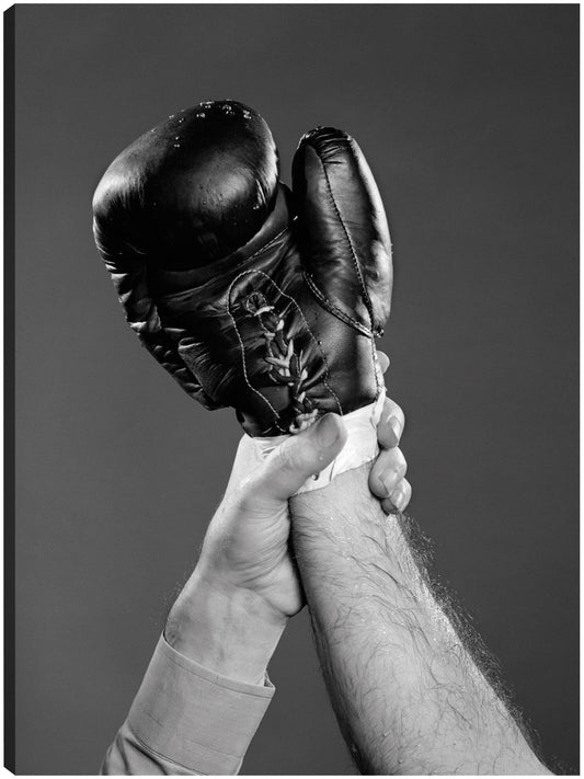 Guantes de boxeo Victory - Vintage Images