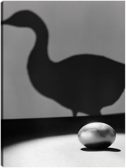 Huevo de gallina dorada - Vintage Images