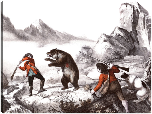 Oso de montaña - Vintage Images