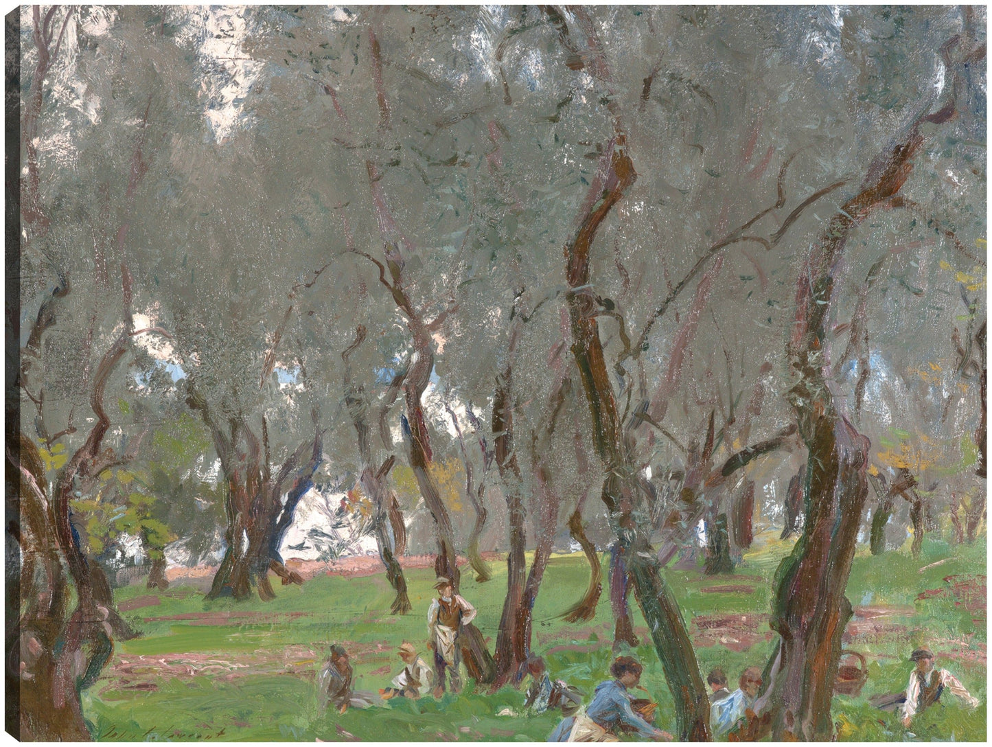 El olivar (1910) - John Singer Sargent