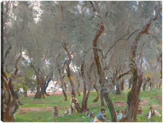 El olivar (1910) - John Singer Sargent