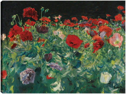 Amapolas (1886) - John Singer Sargent
