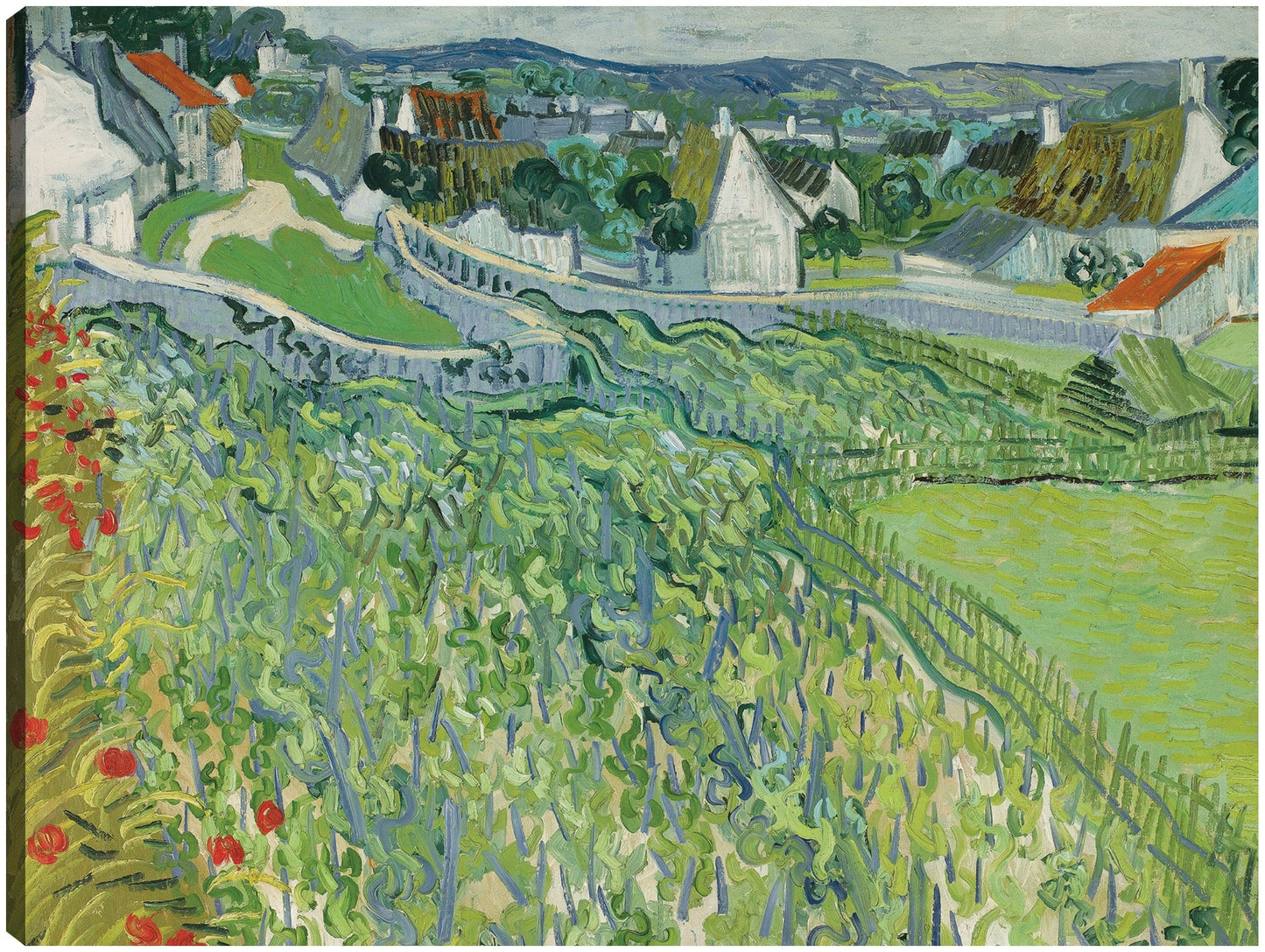 Viñedos en Auvers (1890) - Vincent van Gogh