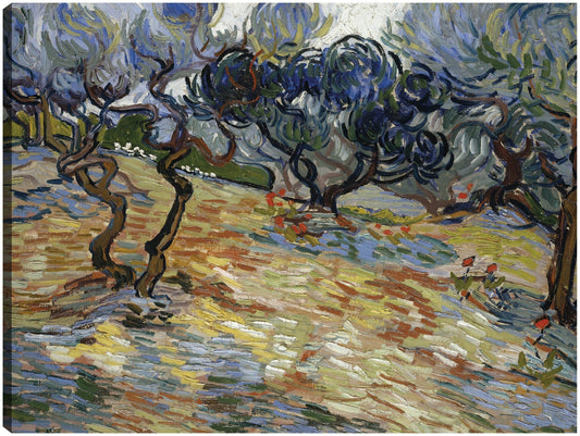 Olivos - Vincent van Gogh