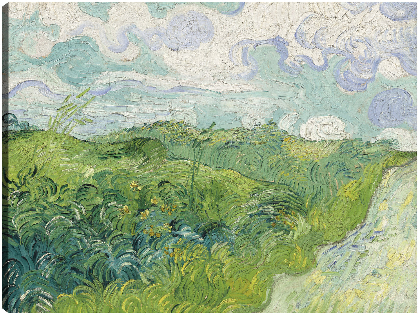 Campos de trigo verde, Auvers (1890) - Vincent van Gogh