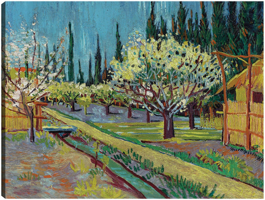 Huerto bordeado de cipreses (1888) - Vincent van Gogh