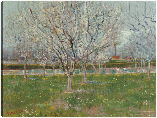 Huerto en Flor (Ciruelos) - Vincent van Gogh