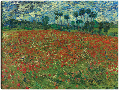 Campo de amapolas - Vincent van Gogh