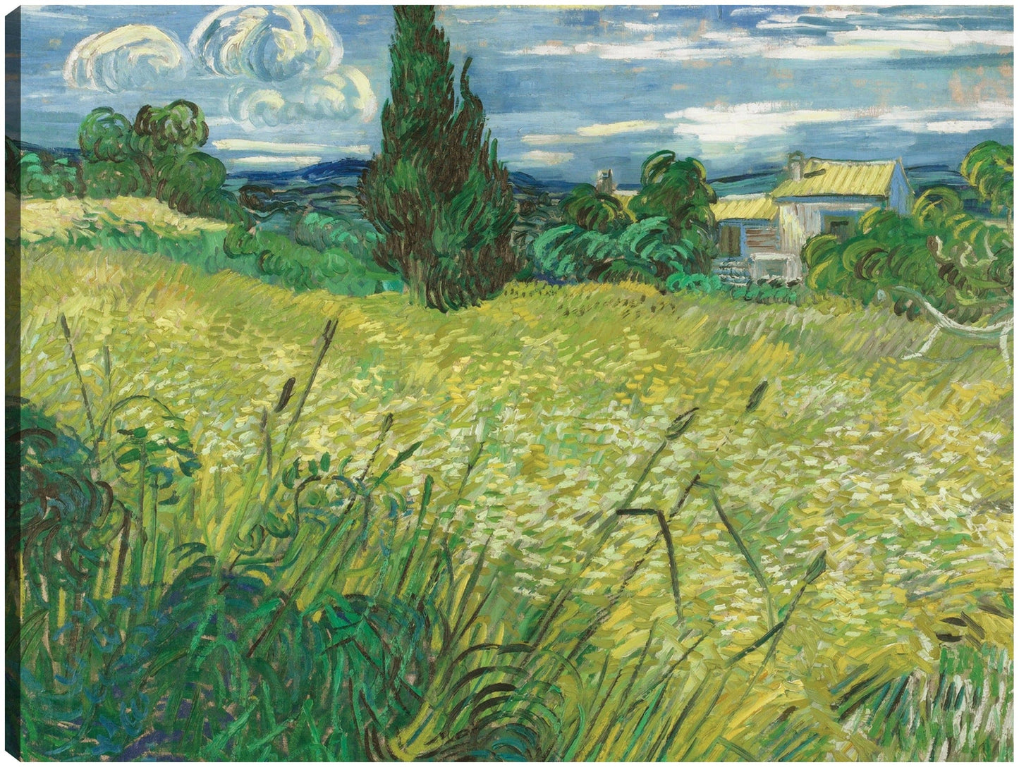 Campo verde - Vincent van Gogh
