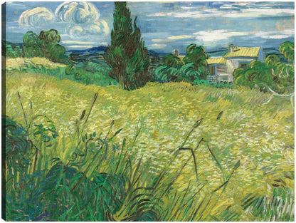 Campo verde - Vincent van Gogh