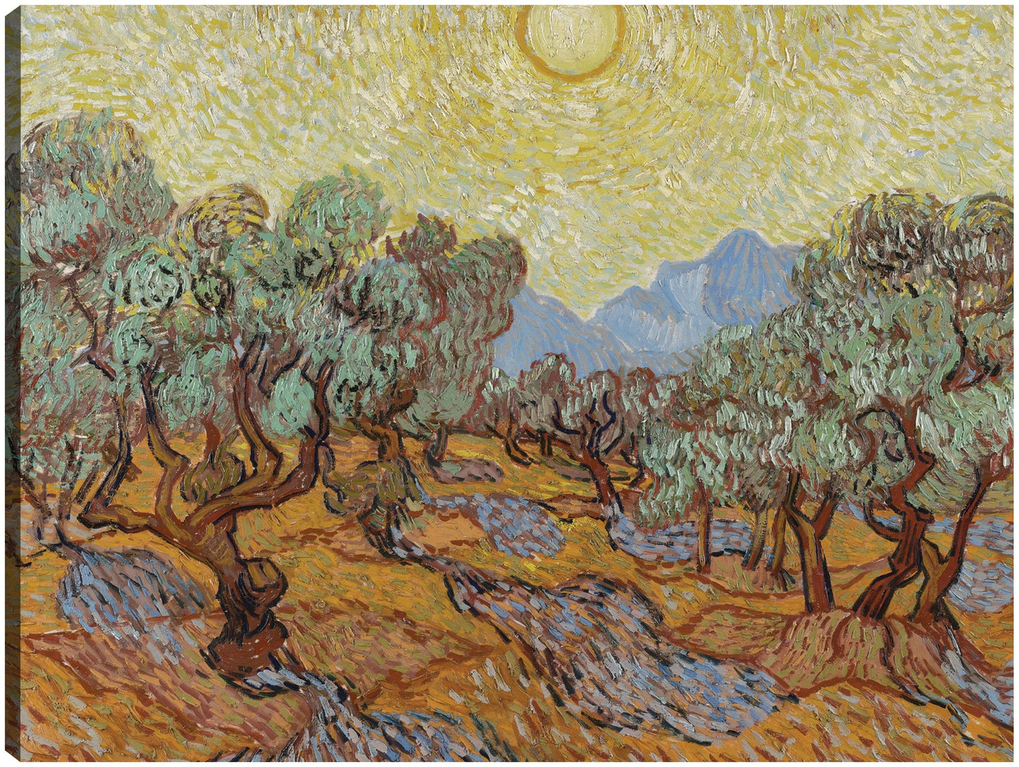 Olivos (1889) - Vincent van Gogh