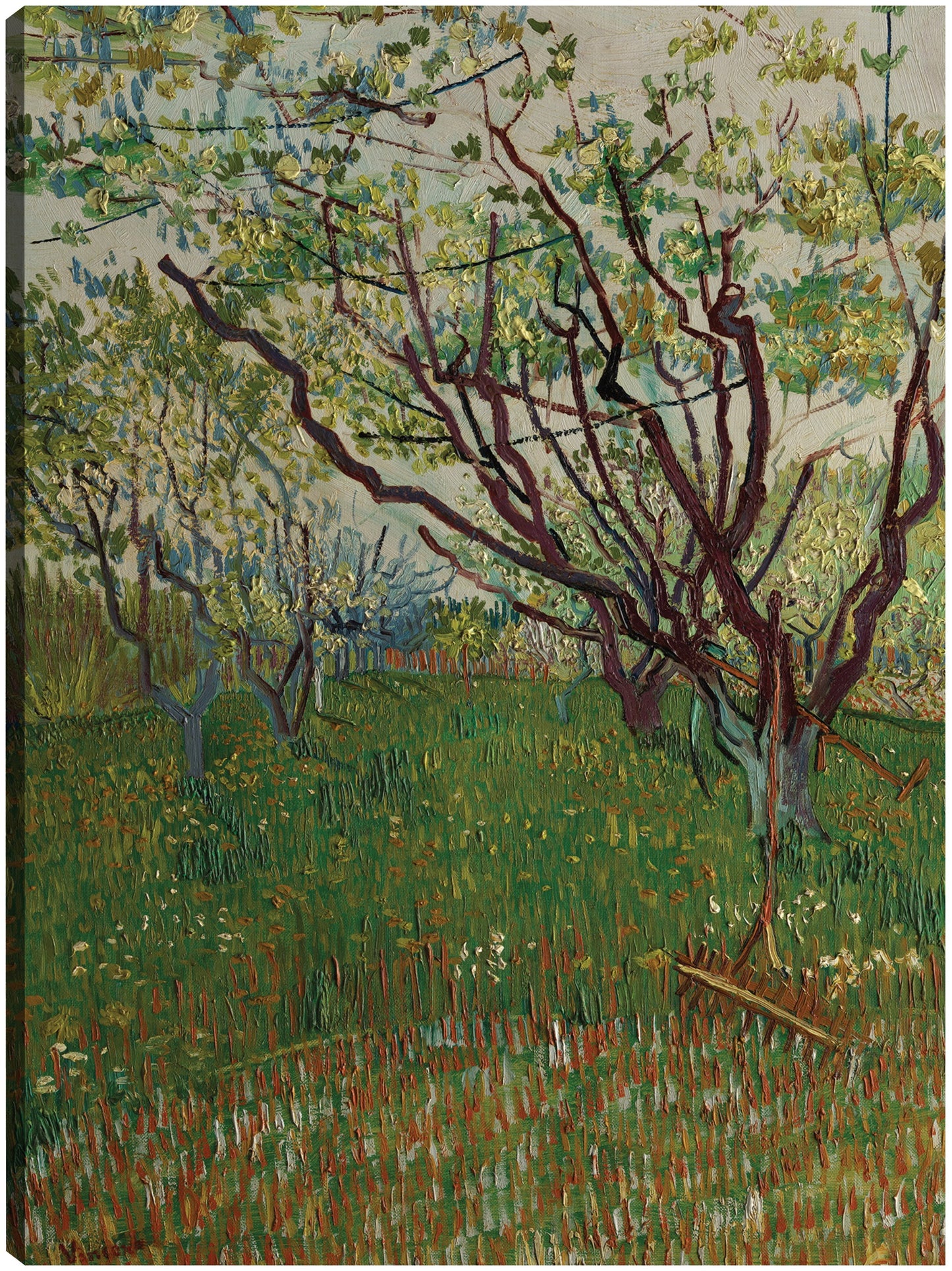 El huerto floreciente (1888) - Vincent van Gogh