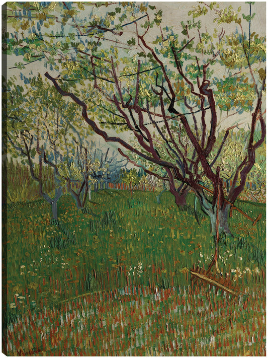 El huerto floreciente (1888) - Vincent van Gogh