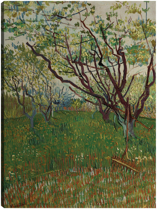 El huerto floreciente (1888) - Vincent van Gogh
