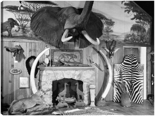Sala de caza vintage - Vintage Images