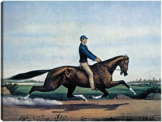 Caballo de carreras Dexter - Vintage Images