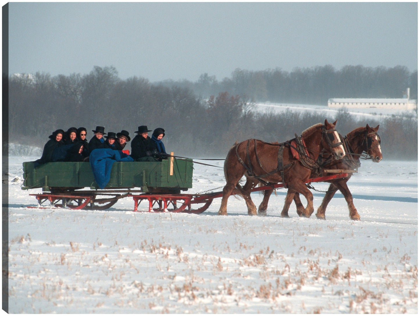 Vagón de la familia Amish - Vintage Images