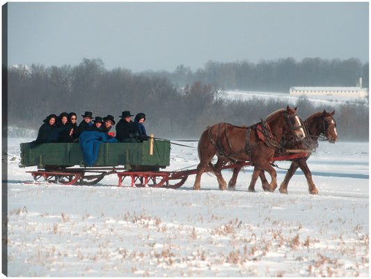 Vagón de la familia Amish - Vintage Images