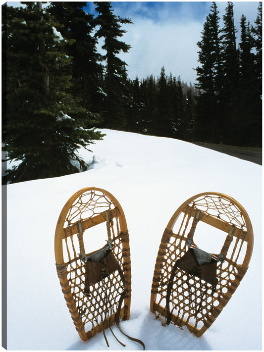 Viejas raquetas de nieve de invierno - Vintage Images