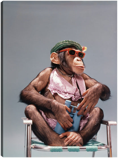 Silla de playa Chimpancé - Vintage Images