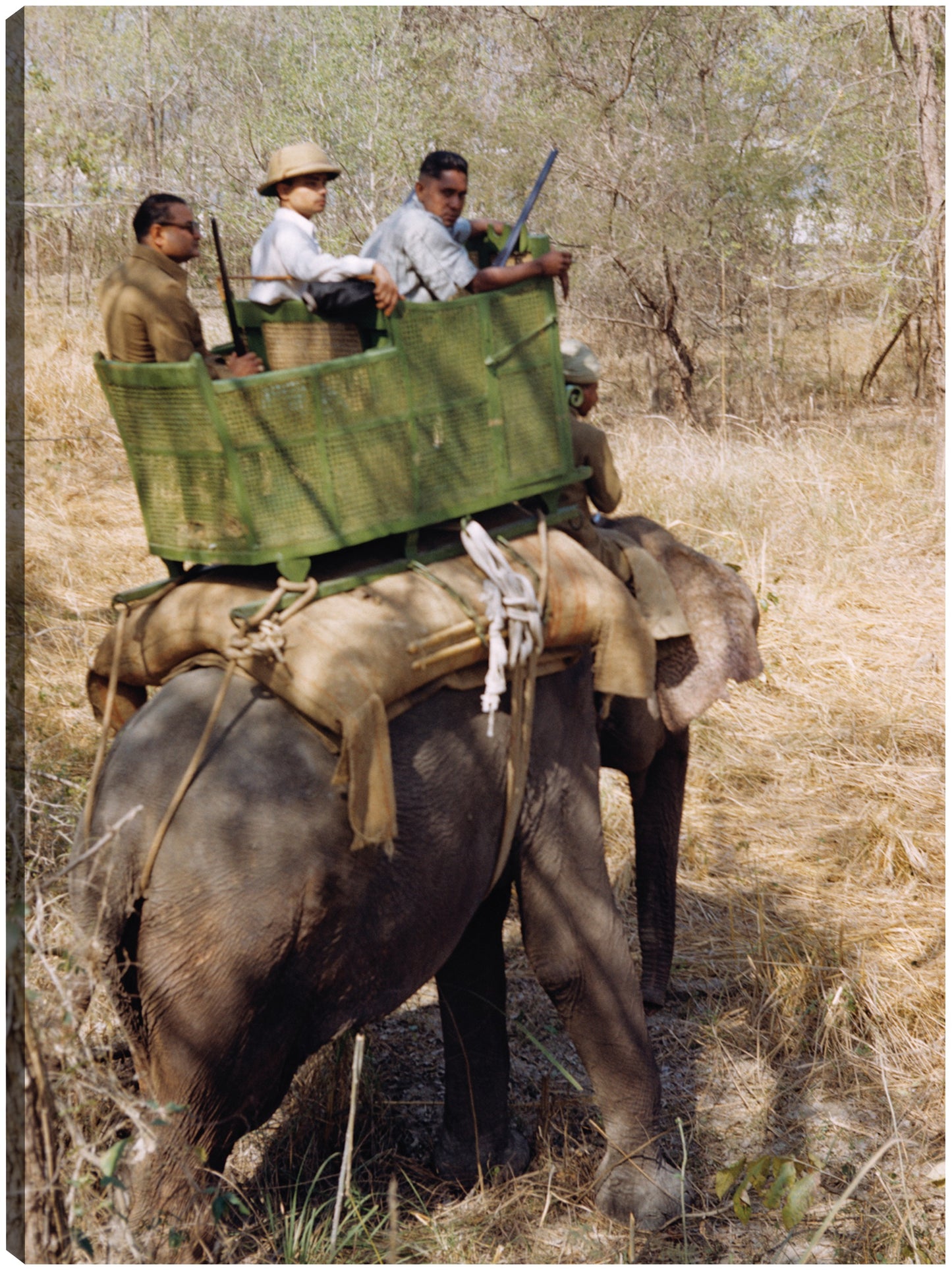 Elefante Safari indio - Vintage Images