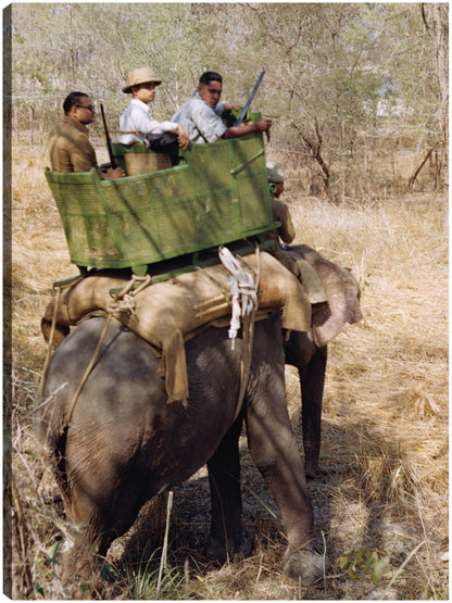 Elefante Safari indio - Vintage Images