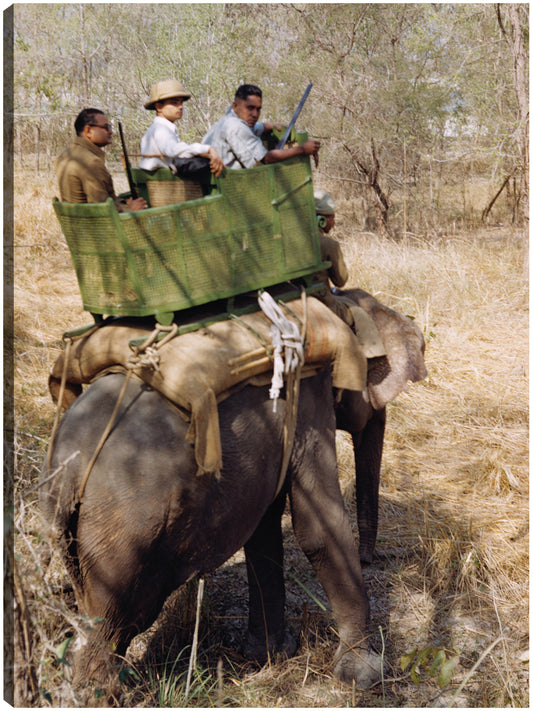 Elefante Safari indio - Vintage Images