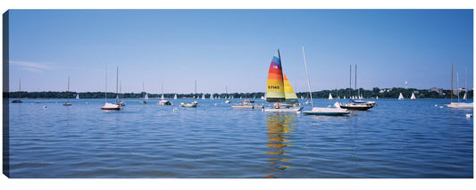 Regata del lago Calhoun - Panoramic Images