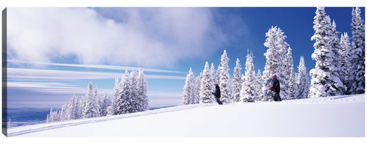 Manantiales nevados en barco de vapor - Panoramic Images