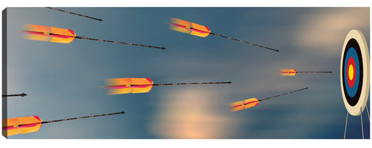 Dardos voladores - Panoramic Images