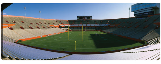 Fútbol de Florida - Panoramic Images
