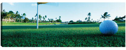 Golf en Hawái - Panoramic Images