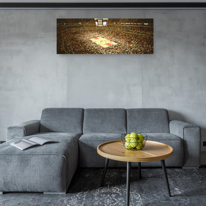 Juego de los Chicago Bulls - Panoramic Images