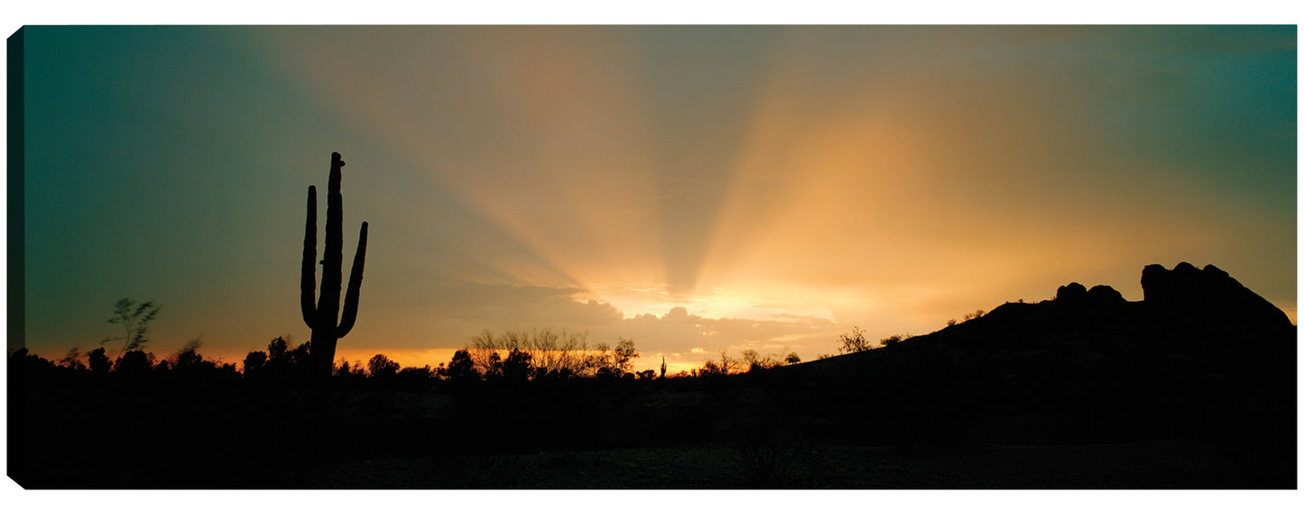 Rayos de sol del desierto - Panoramic Images